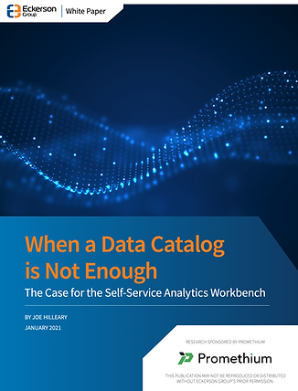 NL Eckerson Group Promethium Report When a Data Catalog is Not Enough Cover